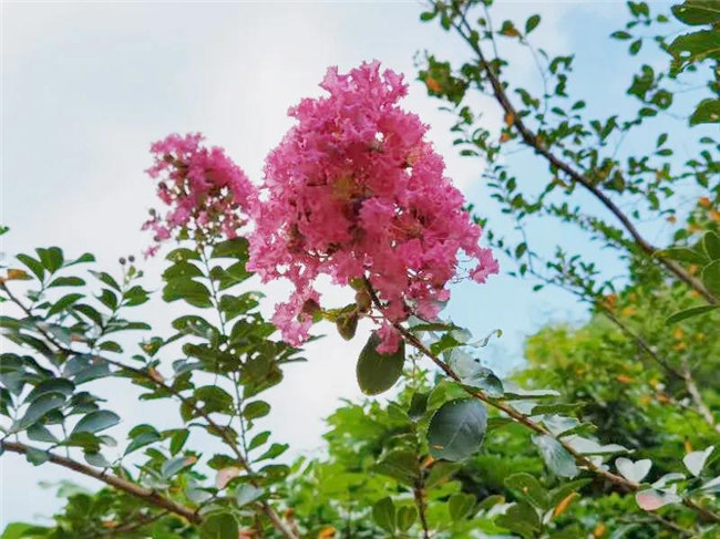 呼吸鮮氧，踐行公益——廣東博皓公益活動(dòng)：星溪線(xiàn)公益環(huán)?；顒?dòng)   -5