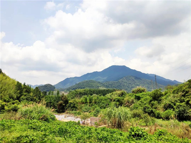 呼吸鮮氧，踐行公益——廣東博皓公益活動(dòng)：星溪線(xiàn)公益環(huán)?；顒?dòng)   -6