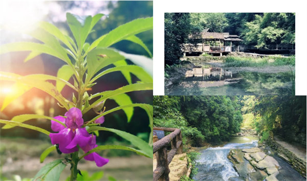 “湘”約鳳凰，相守未來(lái)——2022博皓快樂(lè)湖南行    -34