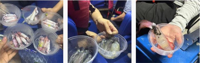 攜手博皓逐夢(mèng)行，巽寮灣上展豪情—廣東博皓2025年巽寮灣之旅    -10